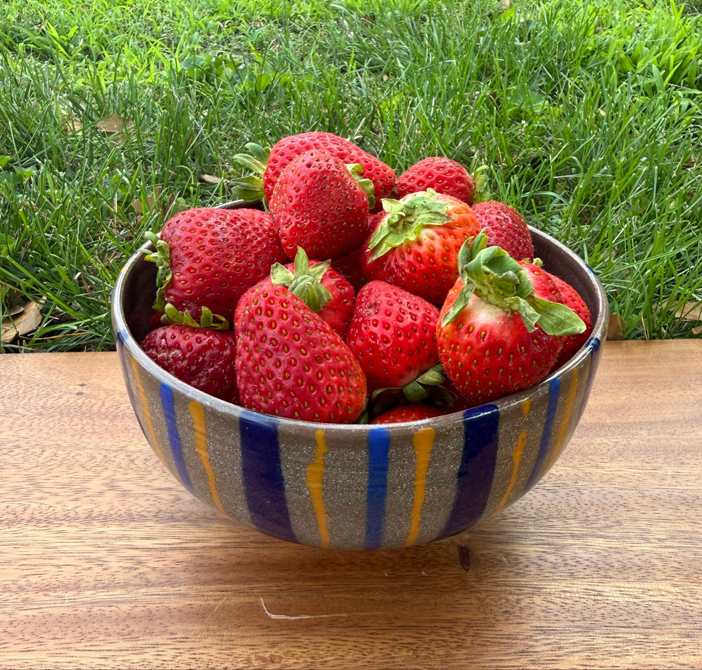 Chum Stripe Bowl