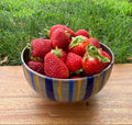 Chum Stripe Bowl